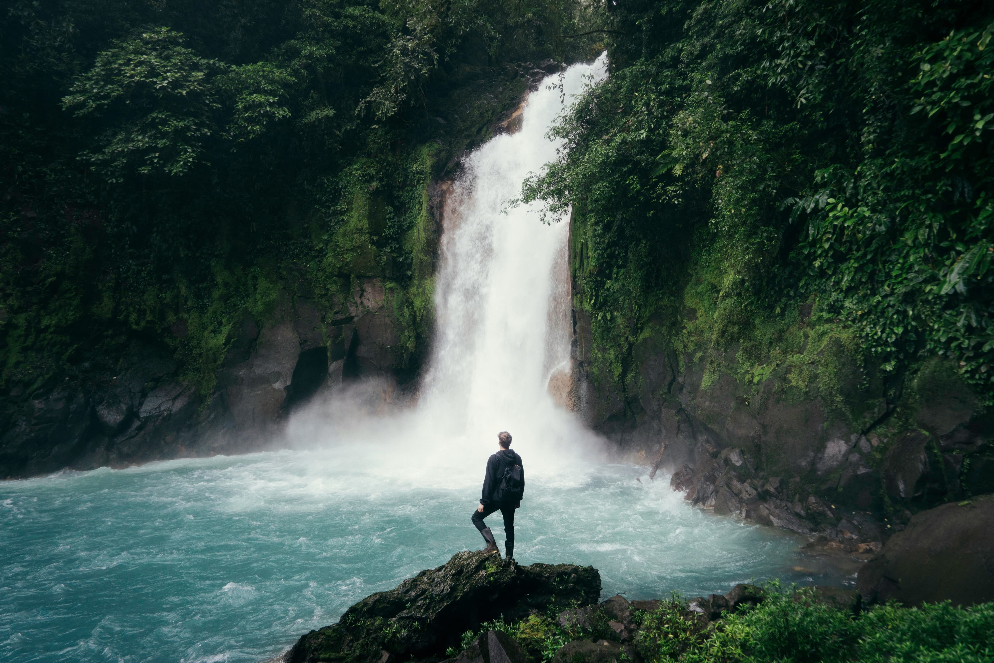 A waterfall through rainforest — visual metaphor for spring re-emergence